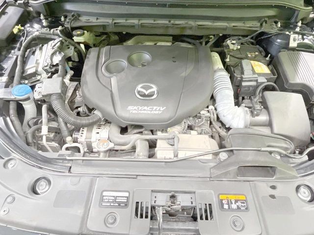 184be06219ca95d679403b1f06827524.jpg
