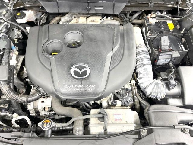 f38af2403d8c2555fac0bcb95e2eb628.jpg