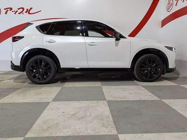 05af4e93e222a6cc1cd9f22ffe39cf40.jpg
