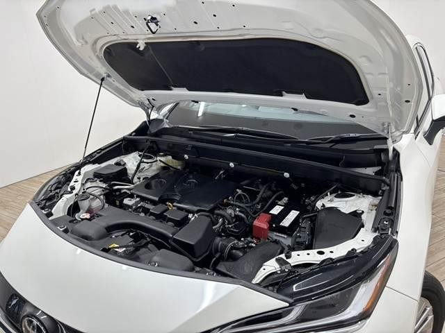 0804910A20261021D00113.jpg