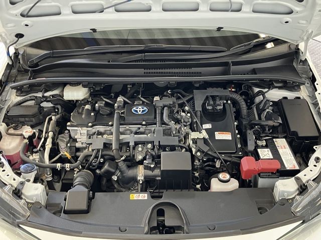 b832bfee238cfbf6fca216ca9f505c44.jpg