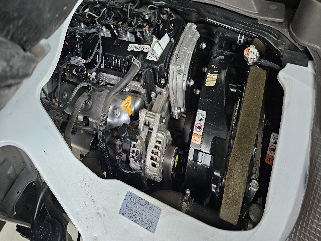 f3381cc05ca888a86f77cc4c9276586c.jpeg