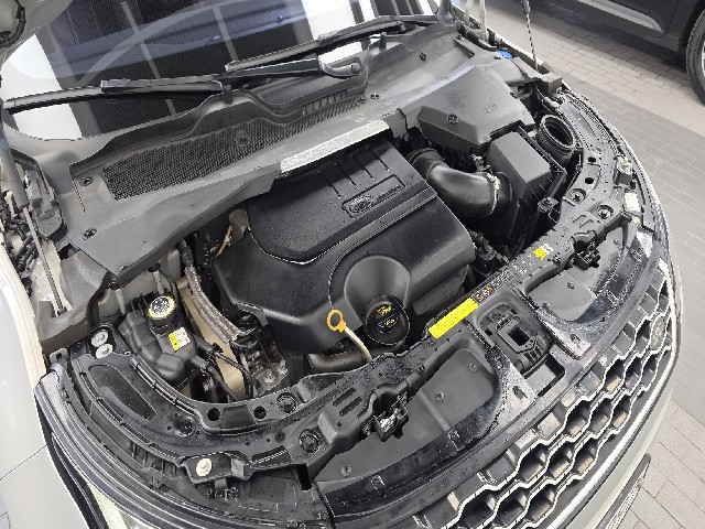 3ea734cd7fbba31abf63c621b5a4f3a6.jpeg