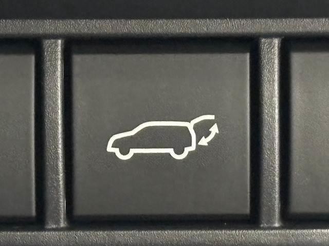 0804910A20261021D00607.jpg