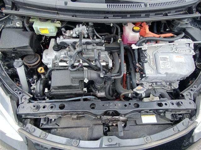 08.jpg