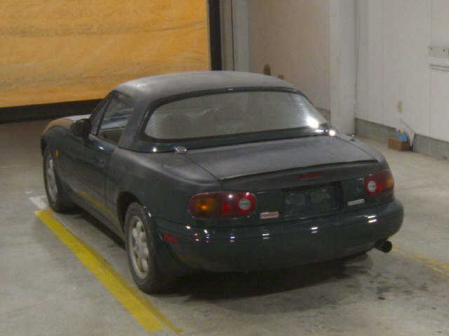 05.jpg