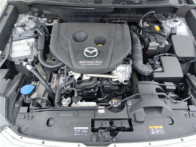 08.jpg