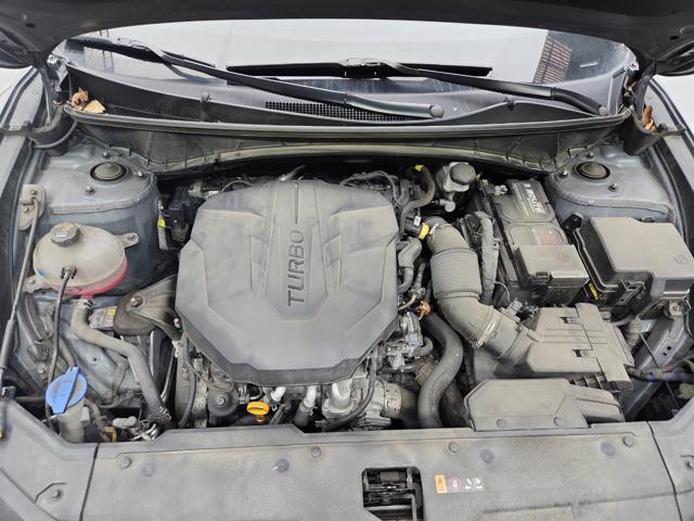 lotterental_230041992_eYlIS_2.jpg
