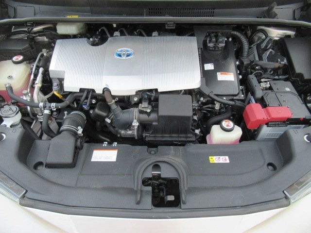90669dc8f6fe84c2e7064646cc177e27.jpg