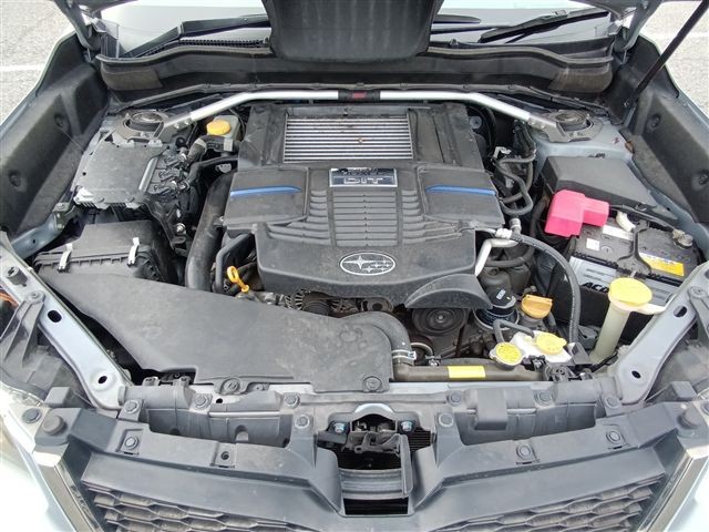 08.jpg