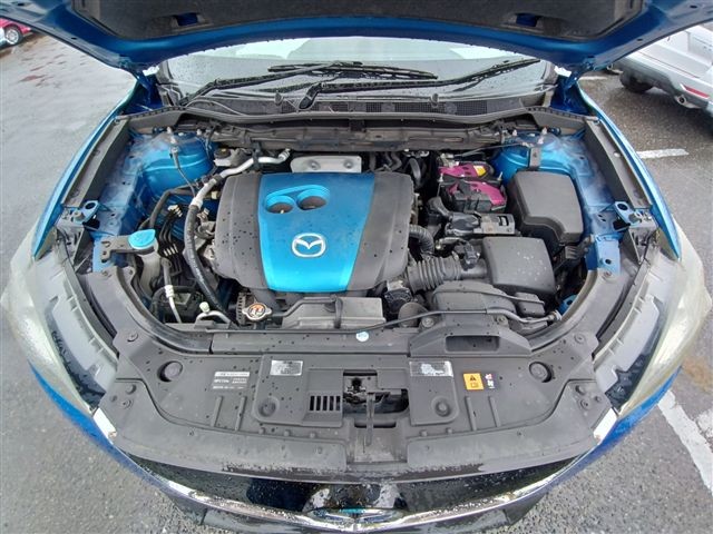 08.jpg