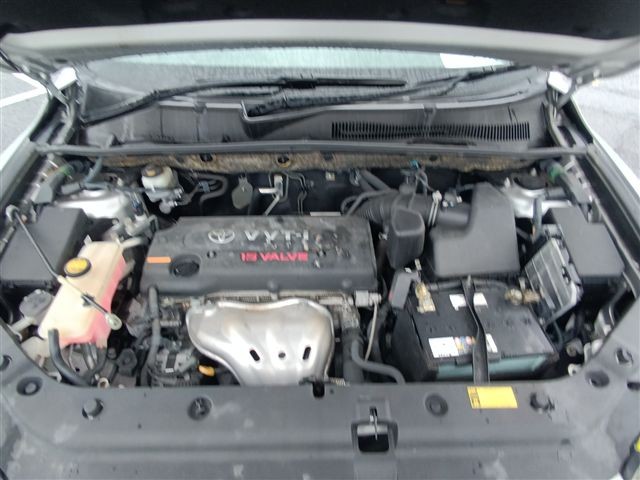 08.jpg