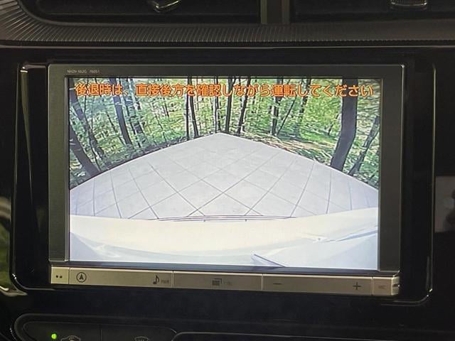 18214724_carP_l_4.jpg