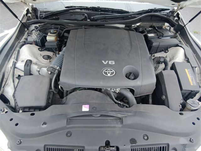 08.jpg