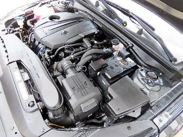 d225e70bb8da06db38ae81d6f0a8c933.jpeg