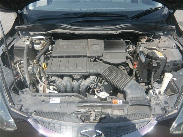 08.jpg