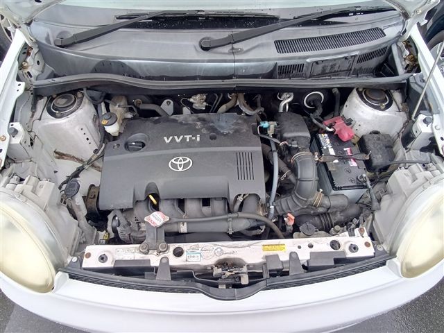 08.jpg