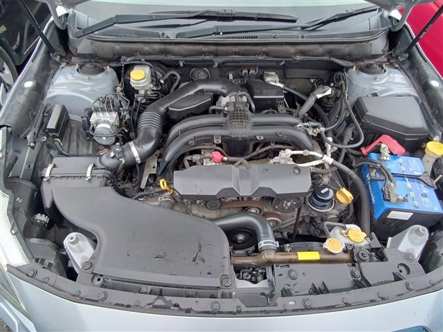 08.jpg