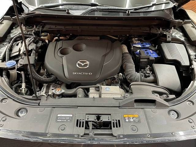 be62e9f65081a17ea945859ceed316ea.jpg