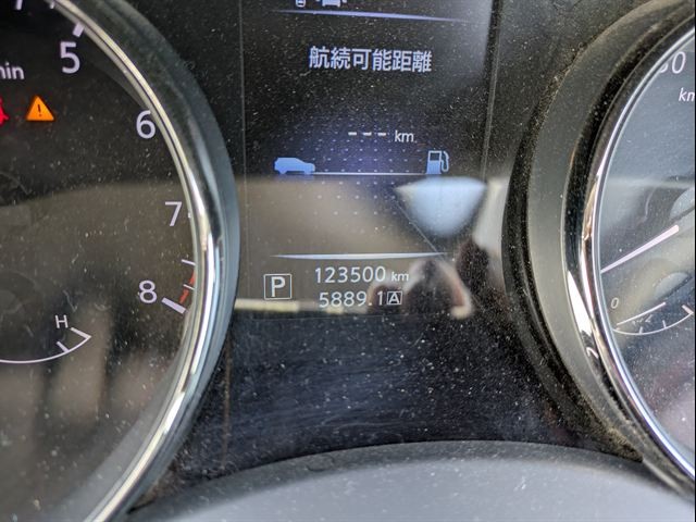 46.jpg