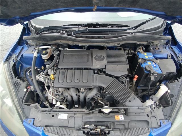 08.jpg