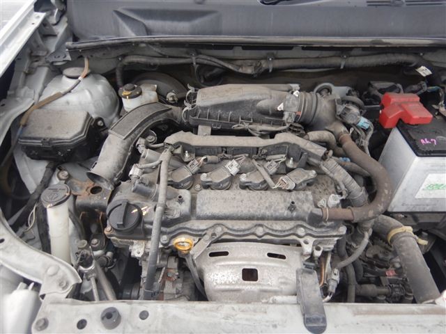 08.jpg