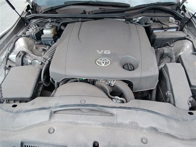 08.jpg