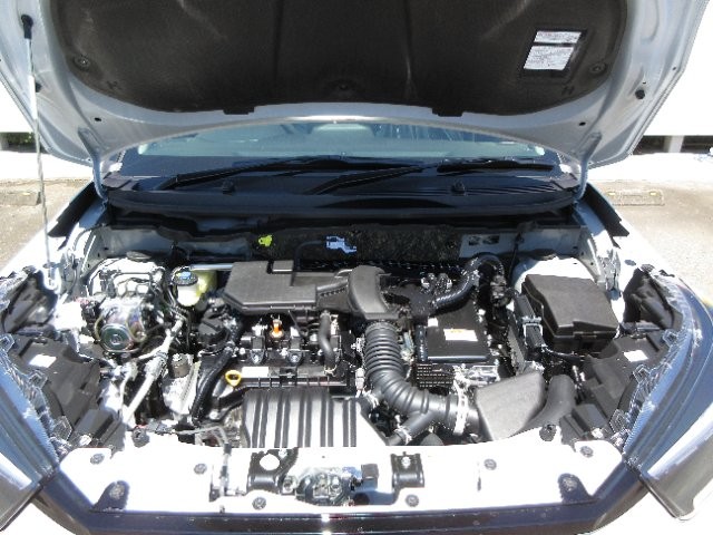 66543ac2843109d4e8c9d4d9fe87fca2.jpg