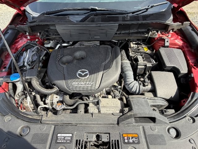 5507b56003f4fb7e372c72bf80a43188.jpg