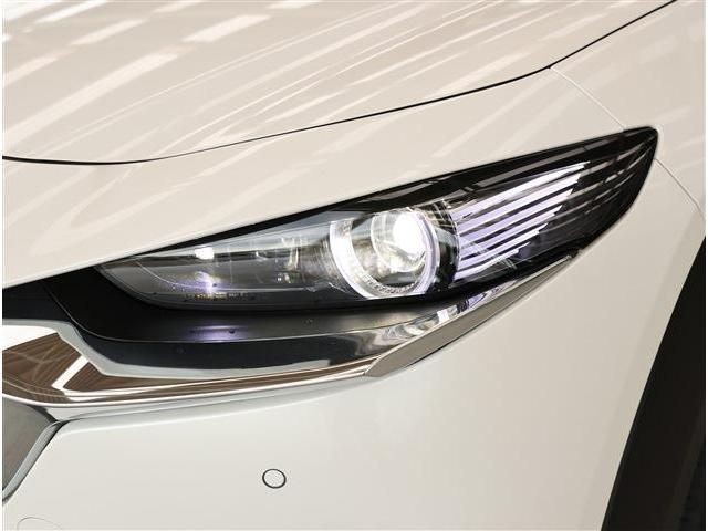 edf07bb7e75bfb6a18719af163cd9b67.jpg