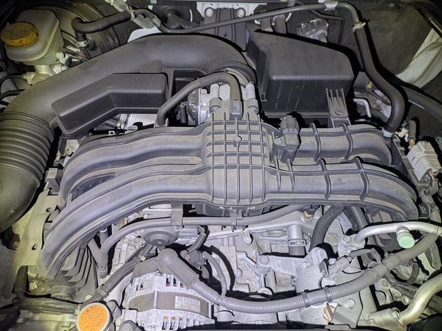 08.jpg