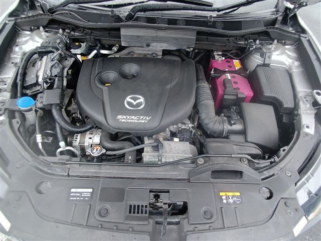 08.jpg
