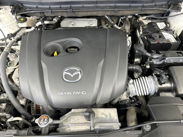 d0c60a818fc7154af9dd41ff8e86c1c7.jpg