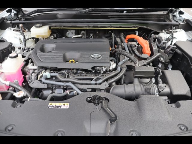 568dd8d837a75a014ce7e0d22da28743.jpg