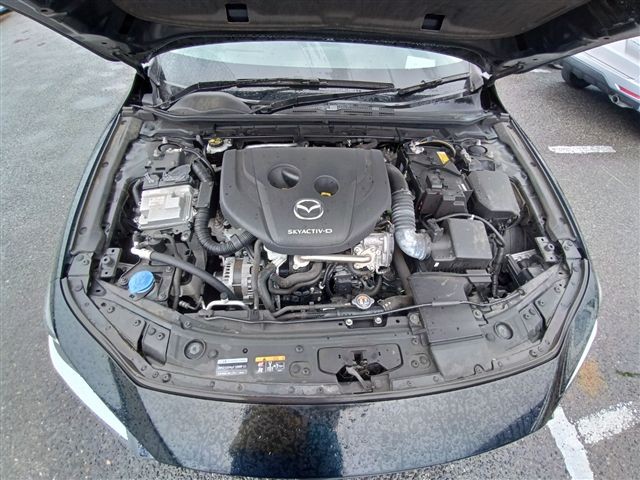 08.jpg