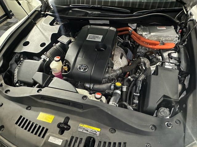 53812470ff7ca4552d211625f8257460.jpg