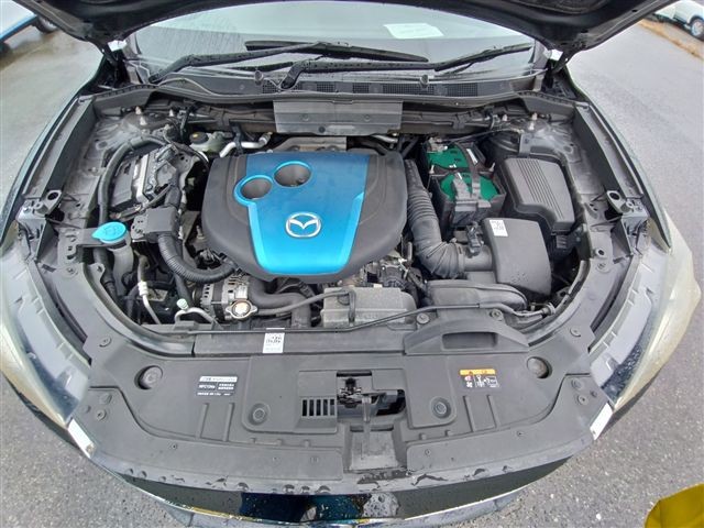 08.jpg