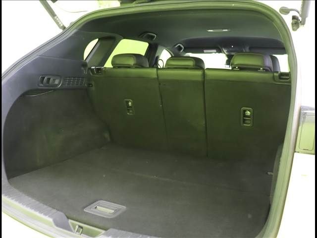 747f5cb10941ede55977df31b4817768.jpg