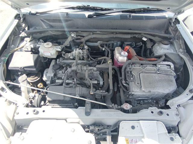 08.jpg