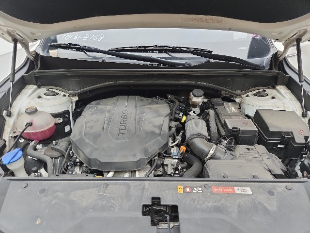 lotterental_153245236_56pBs_9.jpg