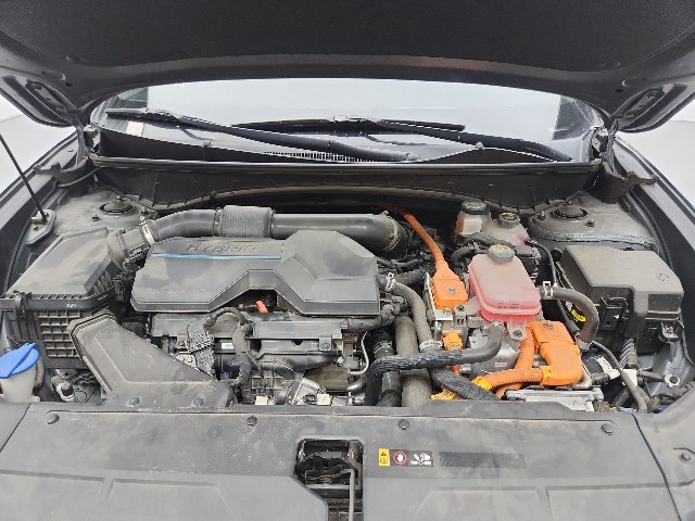 lotterental_155637970_e3DA9_7.jpg