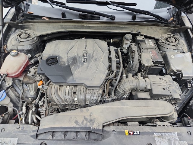 lotterental_165753219_FXSPd_9.jpg