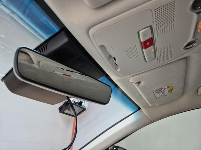 6041000181R17.jpg