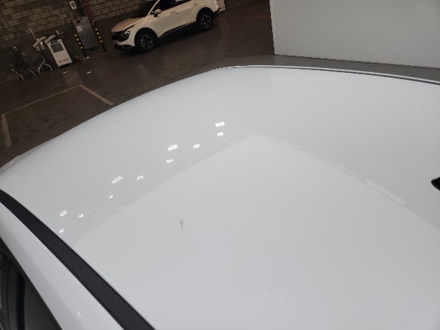 lotterental_223917615_5MEfE_6.jpg