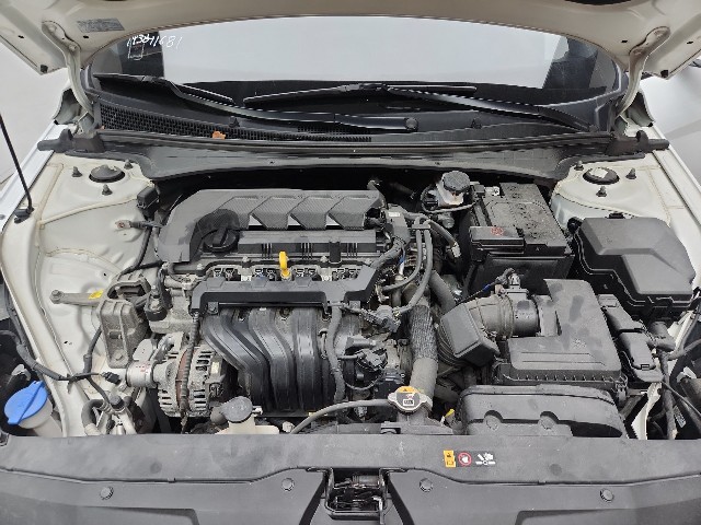 lotterental_224100363_PsTmv_10.jpg