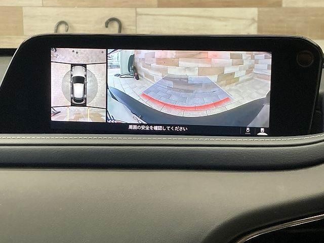0208264A20261005D00303.jpg