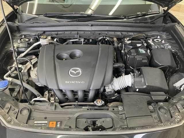 0208264A20261005D00313.jpg