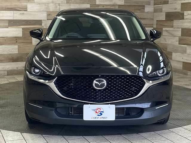 0208264A20261005D00314.jpg