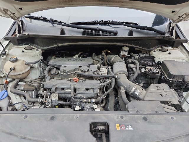 lotterental_23073416_H9bNZ_8.jpg