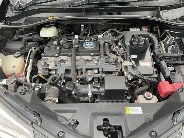 4c37e1fe324dc5fddc5ce88b74d3daa3.jpg